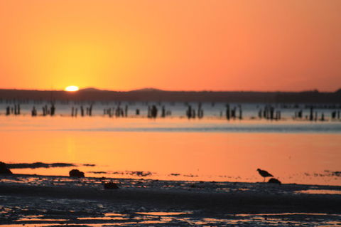 Ambience - Hotel Gold Coast 35