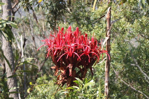 Ambience - Hotel Gold Coast 30