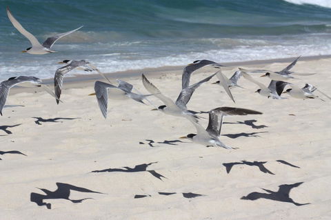 Ambience - Hotel Gold Coast 32