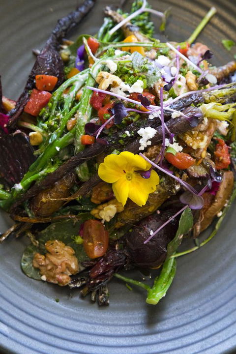 Sage Hotel Wollongong - Hotel Gold Coast 21