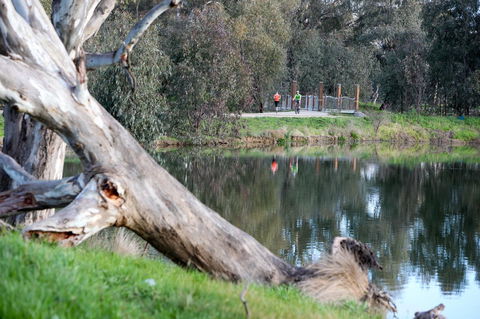 Mercure Albury - Hotel Gold Coast 15