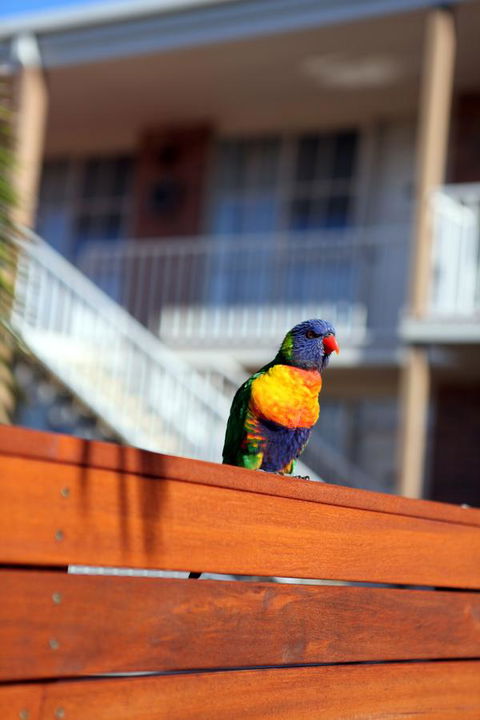 Summerhill Motor Inn - Hotel Gold Coast 30
