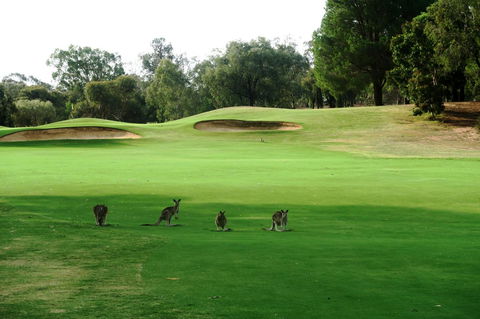 Mulwala Resort - Hotel Gold Coast 40