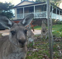 Bush  Bay Cottage - Hotel Gold Coast