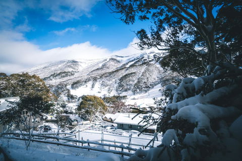 Pure Chalet Thredbo - Hotel Gold Coast 31