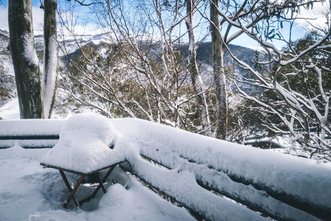 Pure Chalet Thredbo - Hotel Gold Coast 19