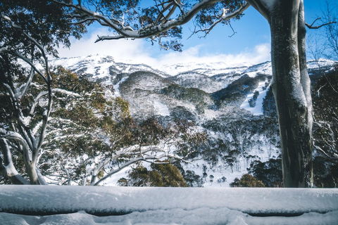 Pure Chalet Thredbo - Hotel Gold Coast 2