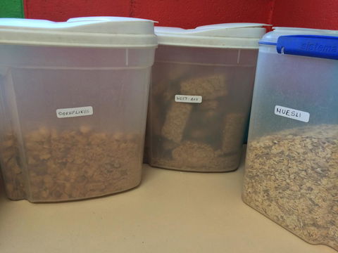 Alice Lodge - Hotel Gold Coast 33