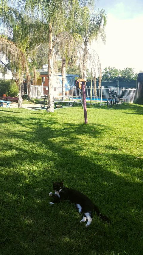 Alice Lodge - Hotel Gold Coast 26