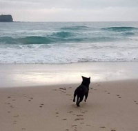 Breakers at Mudjimba Beach - Hotel Gold Coast