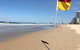 Broadbeach Studios - thumb 0