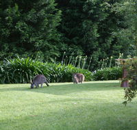 Bundanoon 2578 - Hotel Gold Coast
