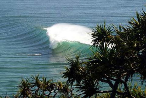 Cabarita Studio - Hotel Gold Coast 0