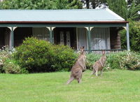 Book Mount Victoria Accommodation Vacations Hotel Gold Coast Hotel Gold Coast