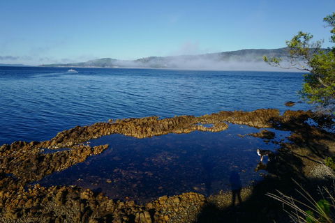Coast House Tasmania - Hotel Gold Coast 2