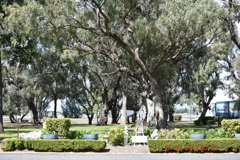 Cooee Motel - Hotel Gold Coast 2