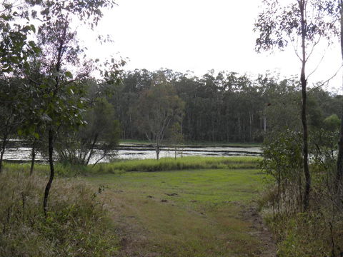 Coucals Cottage - Hotel Gold Coast 2