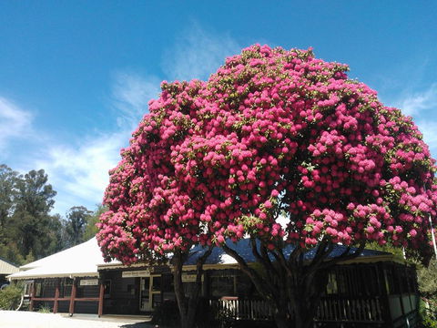 Crossways Country Inn - Hotel Gold Coast 0