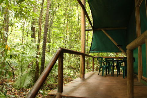 Daintree Crocodylus - Hotel Gold Coast 1