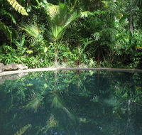 Daintree Rainforest Retreat Motel - Hotel Gold Coast