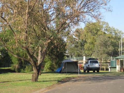 Dalby Tourist Park - Hotel Gold Coast 3
