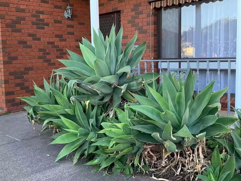 Delightful Bedroom In Bentleigh East - Hotel Gold Coast 2