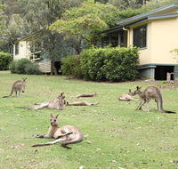 Depot Beach Cabins - Hotel Gold Coast