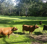 Dingley Dell - Hotel Gold Coast