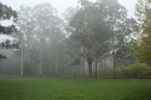 Dingley Dell - Hotel Gold Coast 2