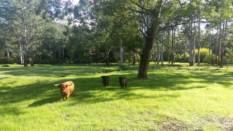 Dingley Dell - Hotel Gold Coast 3