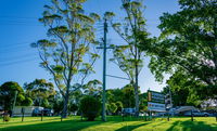 Book Dorrigo Accommodation Vacations Hotel Gold Coast Hotel Gold Coast