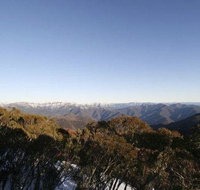 Elkhorn 7 - Hotel Gold Coast