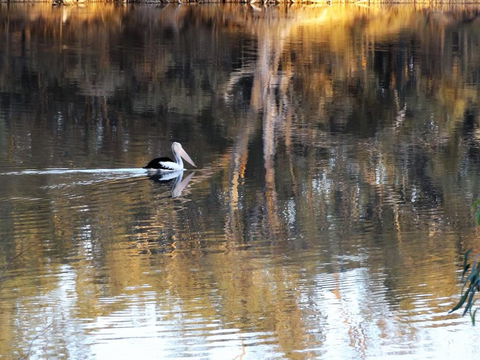 Euston Club Motel - Hotel Gold Coast 0