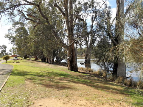 Euston Club Motel - Hotel Gold Coast 2