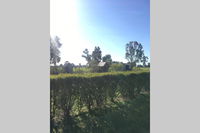 Book Benalla Accommodation Vacations Hotel Gold Coast Hotel Gold Coast