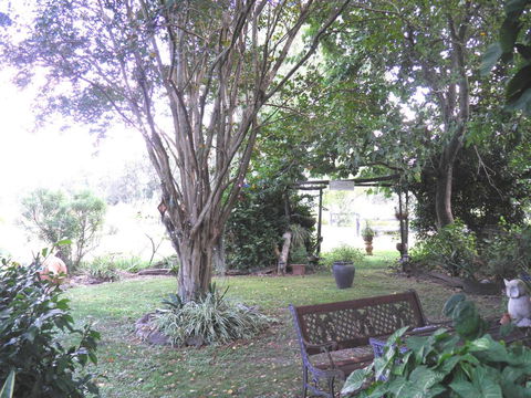 Follywood Guesthouse B&B - Hotel Gold Coast 1