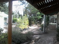 Book Harcourt Accommodation Vacations Hotel Gold Coast Hotel Gold Coast