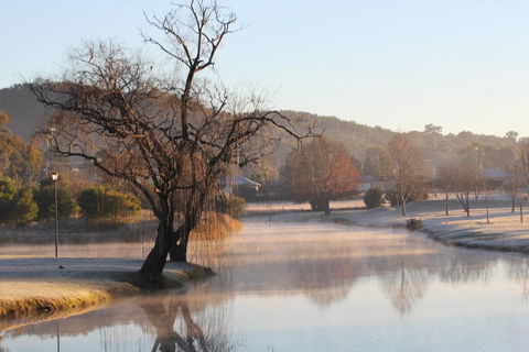 FROGGIES HOLIDAY HOUSE - Hotel Gold Coast 1