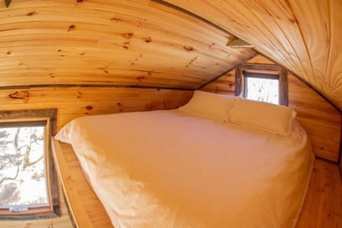 Geelong Tiny House - Hotel Gold Coast 2