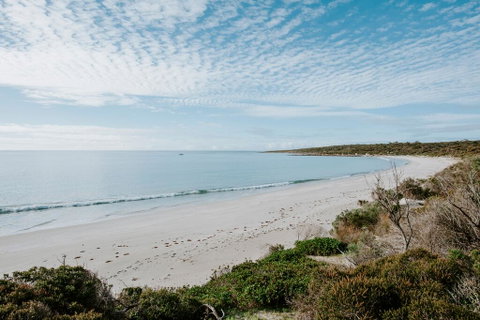 Glamping @ September Beach, Lincoln National Park - Hotel Gold Coast 2