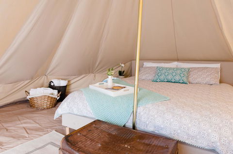 Grapevine Glamping - Hotel Gold Coast 1