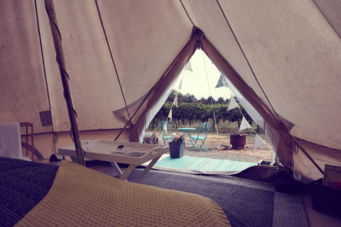 Grapevine Glamping - Hotel Gold Coast 3