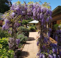 Gumtree House Montville - Hotel Gold Coast