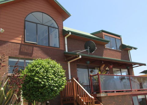 High On Penguin - Hotel Gold Coast 3