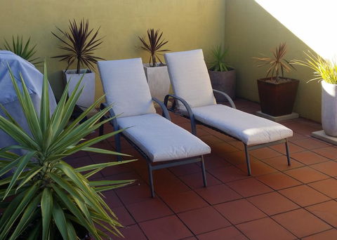 High On Penguin - Hotel Gold Coast 1