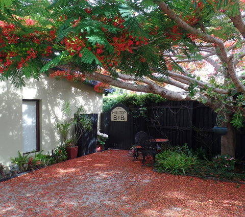 Hilltop B&B - Hotel Gold Coast 2