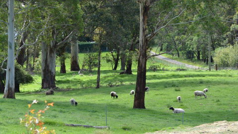 JAN'S ART STUDIO AT ASHBY RISE - Hotel Gold Coast 0