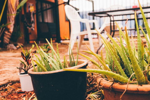JJs Backpackers Hostel - Hotel Gold Coast 2
