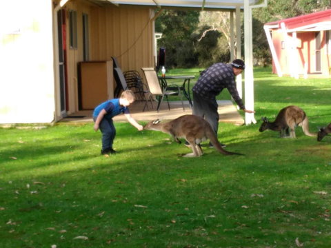 Kalgan River Chalets And Caravan Park - Hotel Gold Coast 0