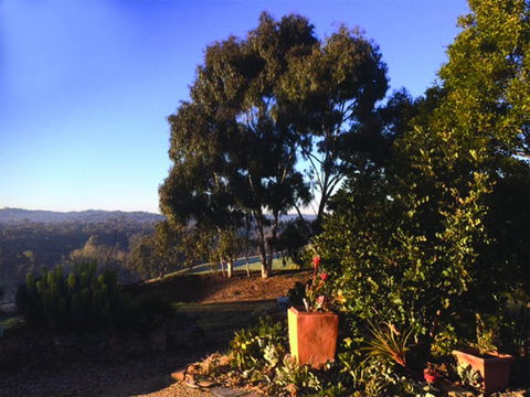 Kangaroo Hill Studio - Hotel Gold Coast 2